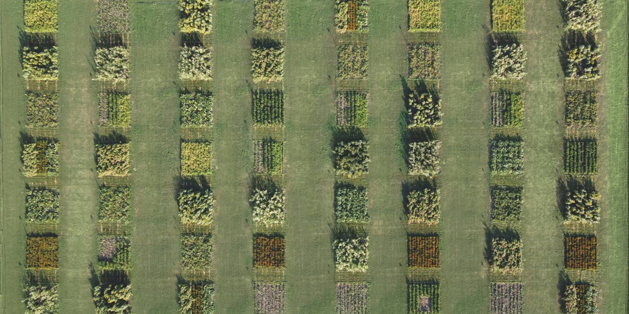 What is regenerative agriculture? A deep dive into Regenerative Organic Agriculture principles