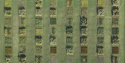 What is regenerative agriculture? A deep dive into Regenerative Organic Agriculture principles